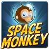 Play Space monkey